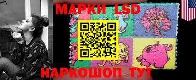 шишки Конаково