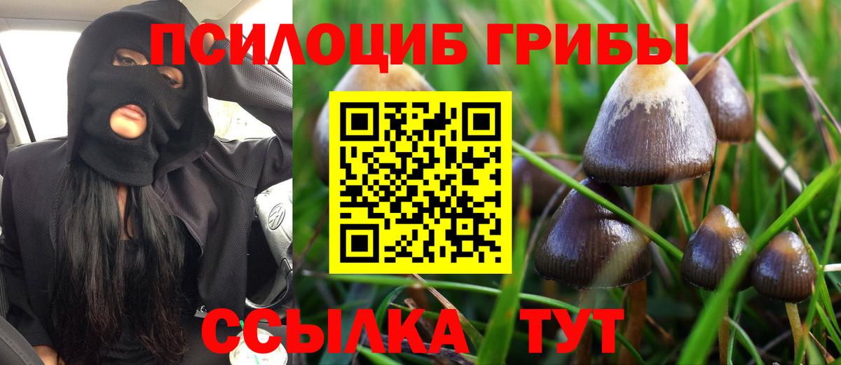 Галлюциногенные грибы Cubensis Новокузнецк