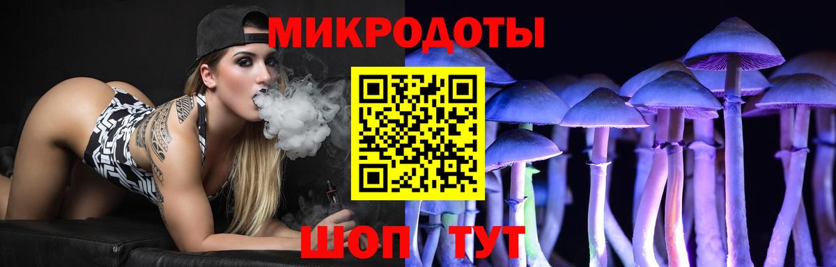 где продают наркотики  Вход с VPN  Галлюциногенные грибы GOLDEN TEACHER  Новокузнецк  Галлюциногенные грибы мухоморы 
